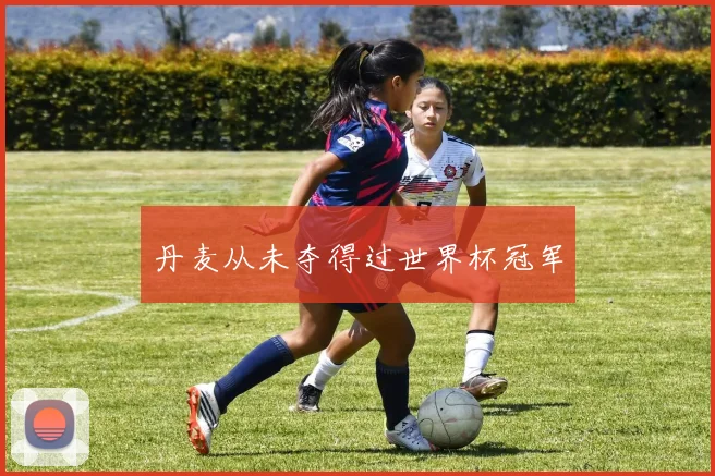 丹麦从未夺得过世界杯冠军