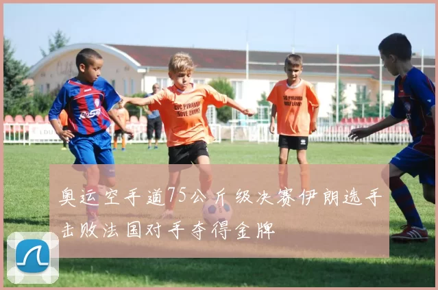 奥运空手道75公斤级决赛伊朗选手击败法国对手夺得金牌