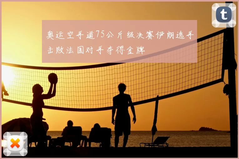 奥运空手道75公斤级决赛伊朗选手击败法国对手夺得金牌